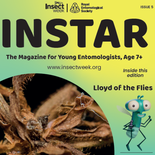 Instar 5 cover square