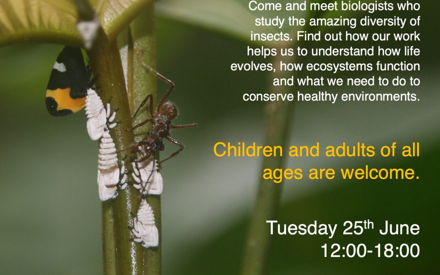A poster of ants interacting with leaf hoppers, with information about the event.